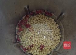 红枣豆浆的做法图解4