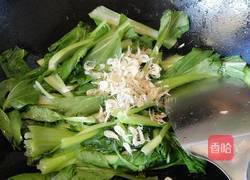 虾皮炒小油菜的做法图解5