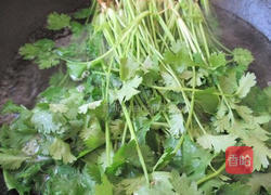 保存香菜方法的做法图解4