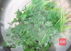 保存香菜方法的做法图解5