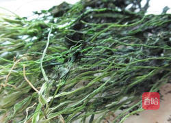 保存香菜方法的做法图解7