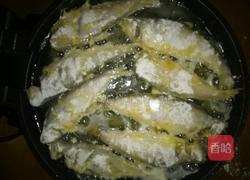 香煎黄鲫鱼的做法图解6