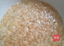 豆豉煲虾皮的做法图解6