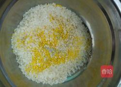 香菇肉丝粥的做法图解1