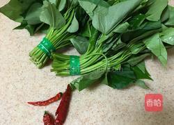 炝炒苕尖的做法图解1