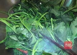 炝炒苕尖的做法图解5