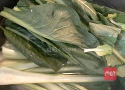 广东菜心的做法图解3