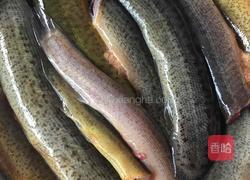 红烧泥鳅的做法图解1