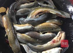 红烧泥鳅的做法图解5