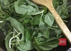 豆酱炒麻叶的做法图解6