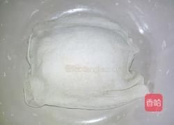 自制面筋的做法图解2