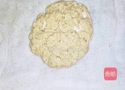 自制面筋的做法图解6