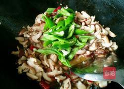 双椒炒香菇的做法图解5