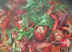 红烧焖虾的做法图解3