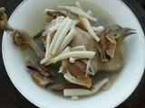 鸽子汤