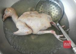 鸽子汤的做法图解5