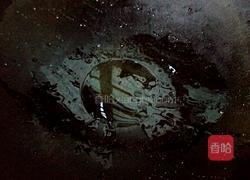 胡萝卜丝炒鸡蛋的做法图解4