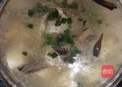超简单的豆腐鲫鱼汤的做法图解8
