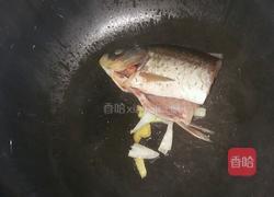 超简单的豆腐鲫鱼汤的做法图解4