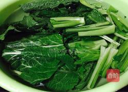 盐水春菜的做法图解2