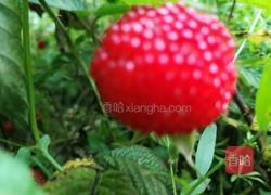 覆盆子果酱的做法图解1