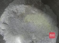 小馒头(奶香味)的做法图解6