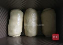 蔓越莓土司（食用油版）的做法图解10