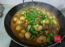 玉儿烧野兔肉的做法图解9