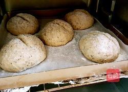 奇亚籽黑麦小面包(无糖少油)的做法图解13