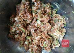 茴香猪肉饺子馅的做法图解5