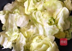蚝油手撕包菜的做法图解4