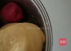 南瓜韭菜素包子的做法图解3