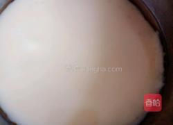 自制快手凉皮的做法图解10