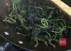 豆酱紫苋菜的做法图解6