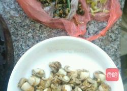 小鲍鱼肉的做法图解3