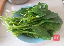 粉丝拌菠菜的做法图解1