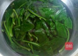 粉丝拌菠菜的做法图解4