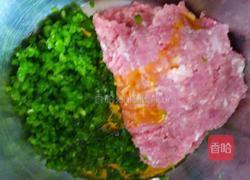 生煎包的做法图解4
