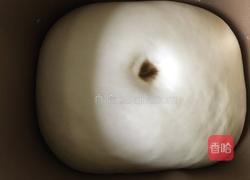 汉堡胚（餐包）的做法图解4