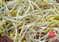 豆芽炒粉的做法图解2