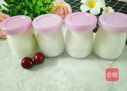 自制酸奶的做法图解10