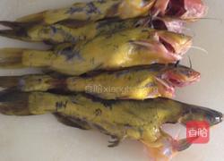 豆瓣戈雅鱼的做法图解1
