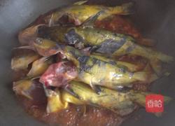 豆瓣戈雅鱼的做法图解6