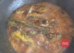 豆瓣戈雅鱼的做法图解8