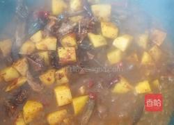 黄焖鸽子肉的做法图解3
