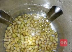自制豆浆的做法图解3