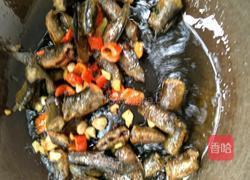 红烧泥鳅的做法图解4