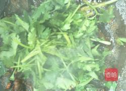 红烧泥鳅的做法图解5