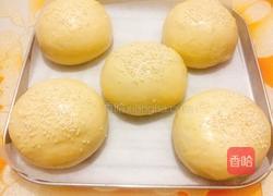 汉堡胚的做法图解11