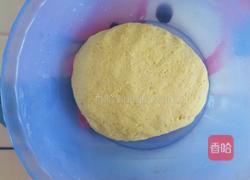 玉米面馒头的做法图解2